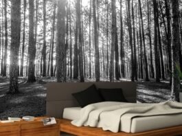 black forest home decor