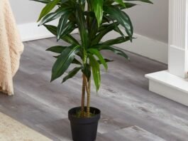 places to buy silk plants