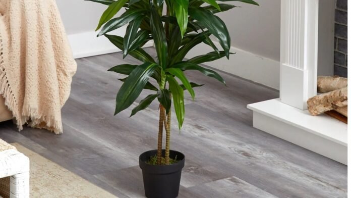 places to buy silk plants
