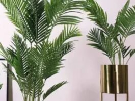 silk plants for home decor