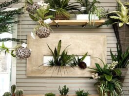 silk plants for humid climates