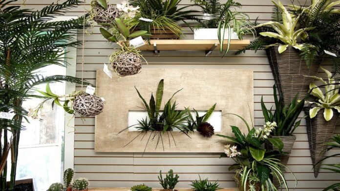 silk plants for humid climates