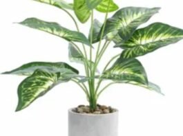 silk plants for living room