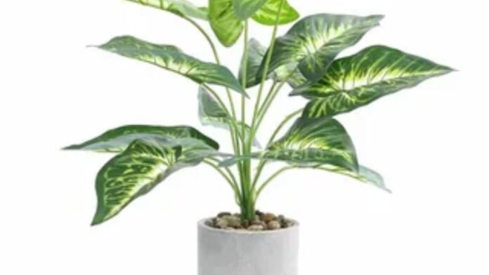 silk plants for living room silk plants for living room