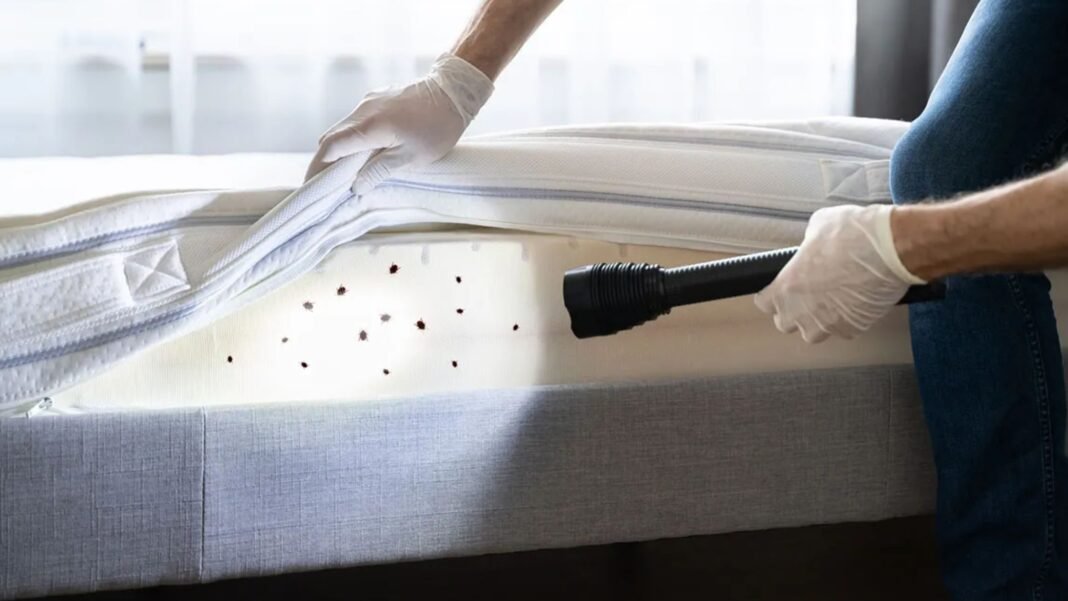 unclean mattress